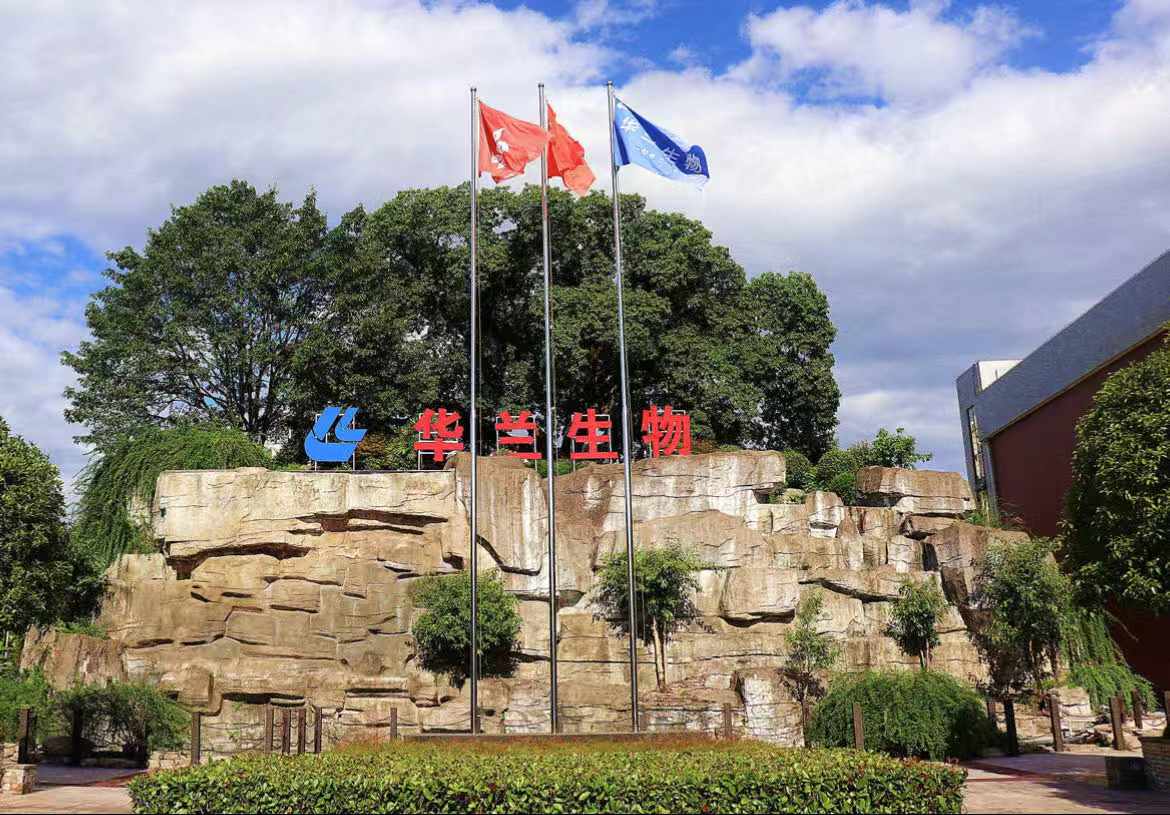 6008集团官方网站(中国)股份有限公司